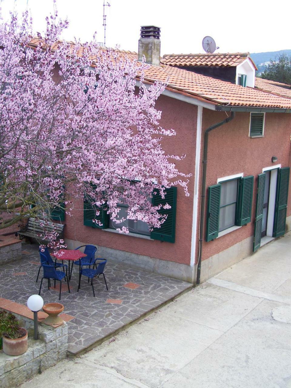 Appartamenti Gli Alberi Capoliveri  Buitenkant foto