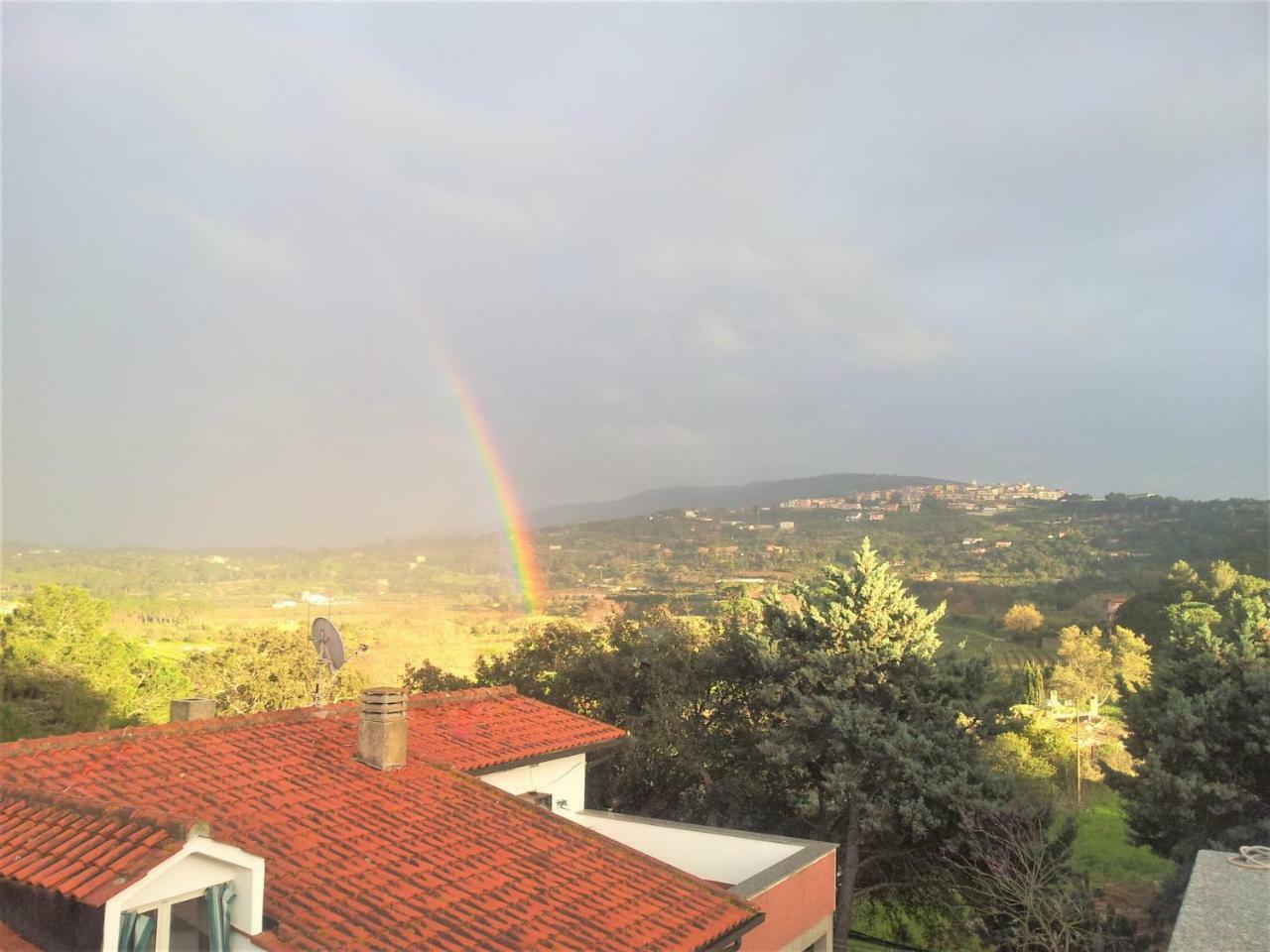 Appartamenti Gli Alberi Capoliveri  Buitenkant foto